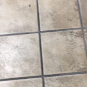 Meet your Posher, Travis